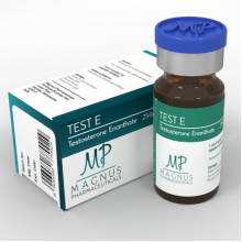 Testosterone Enanthate Magnus 250 mg/ml, 10 ml vial
